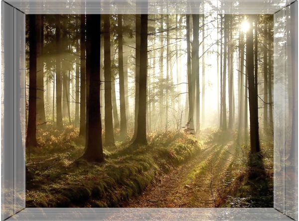 Begin your chaplaincy path!